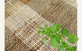 10 интересных фактов о ткани из крапивы: реальность или маркетинговый ход?