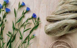 Что сшить из льняной ткани? Лучшие идеи на выбор!